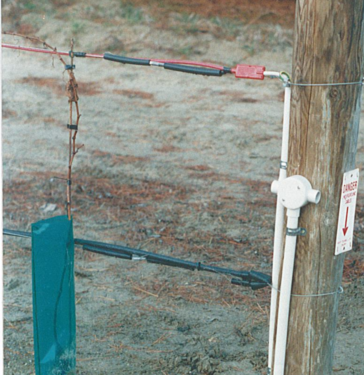Image of heating cable installed in New Zealand; cable is installed in-line with trellis wiring and vines are trained alone the wire.